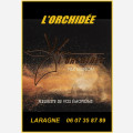 l'Orchidée Laragne