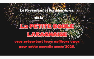 BONNE ANNEE 2026
